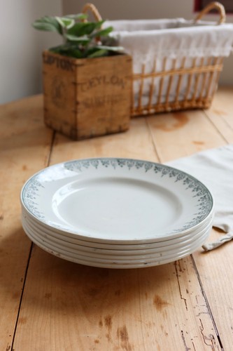 Assiettes vintage terre de - vintage,
