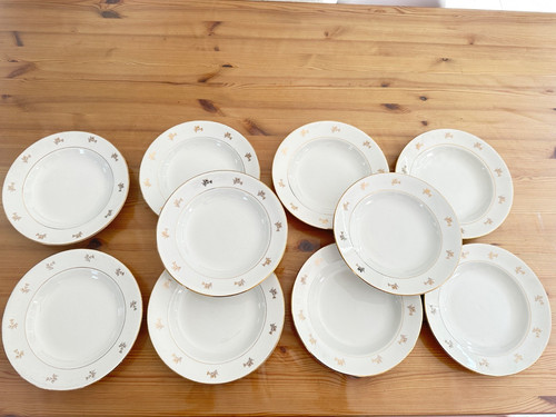 Lot grandes assiettes - lot,