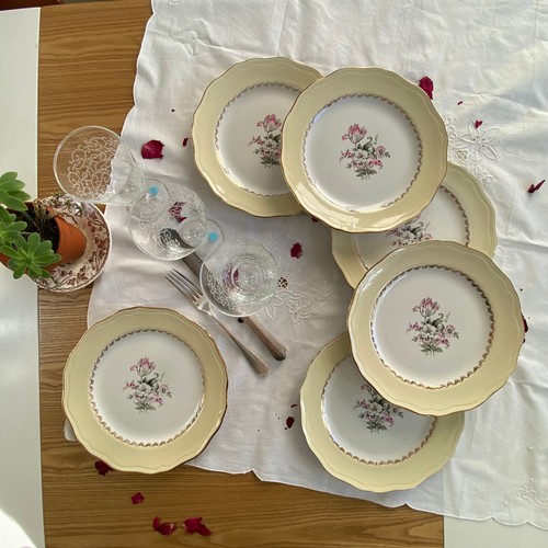 Assiettes plates faïence - 6,